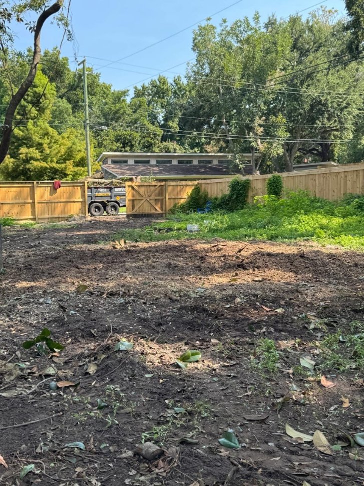 Lion Tree Service and Landscaping LLC project photo 12